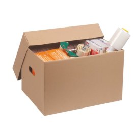 Archivkarton mit Deckel und Tragegriffen