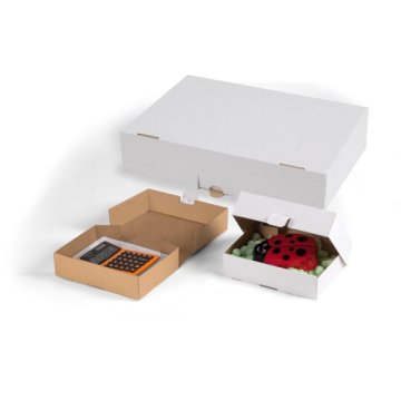 Die Klappschachtel eignet sich ideal zum Versand von Klein- oder Ersatzteilen