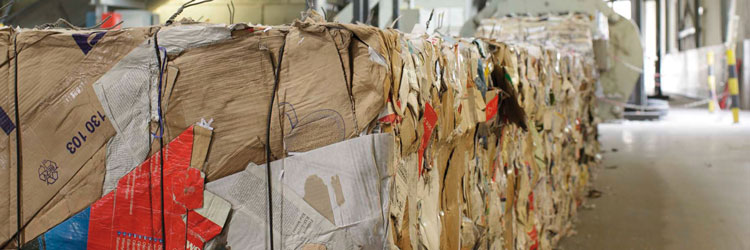 Verpackungsverordnung PPWR: Das müssen Sie wissen