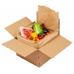 WrapPak Protector Kartonauskleidung